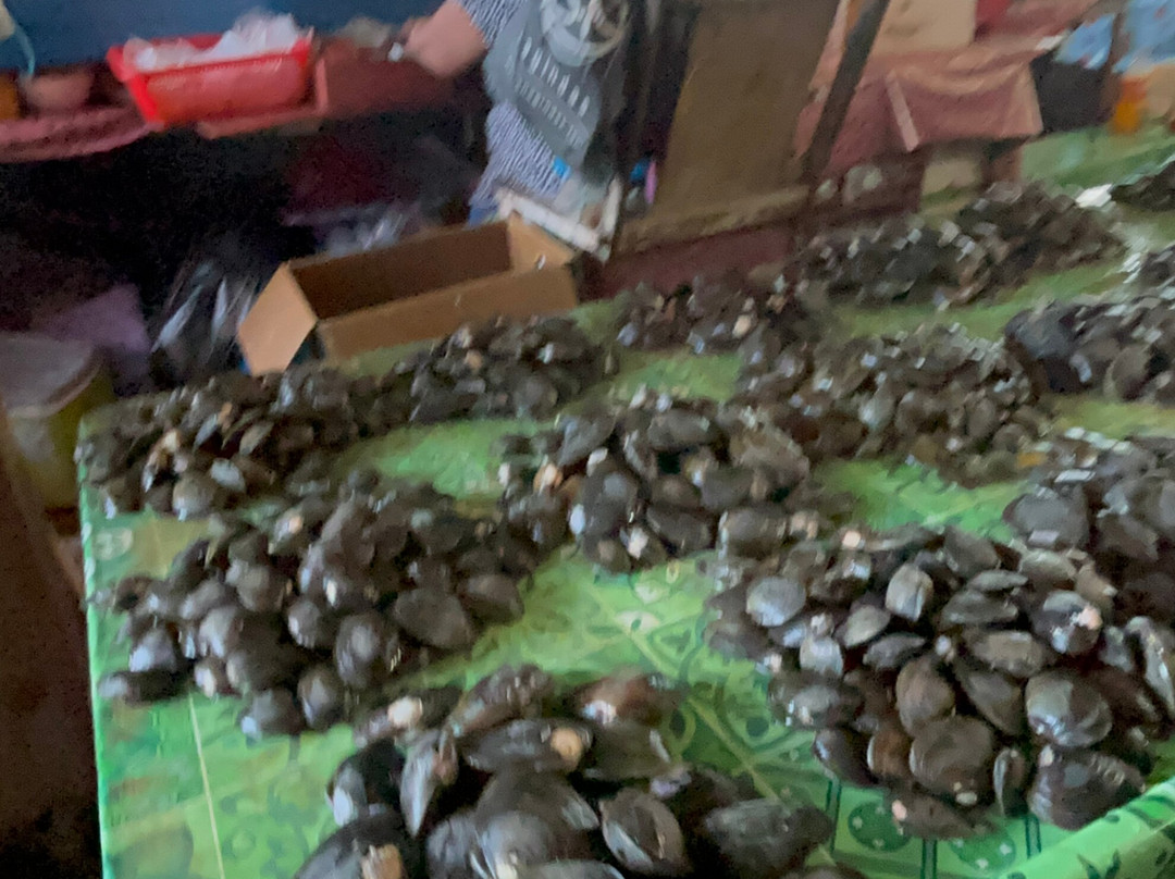 Lautoka Market-劳托卡必去景点