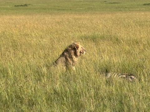 Motherland Adventures Kenya-内罗毕必去景点