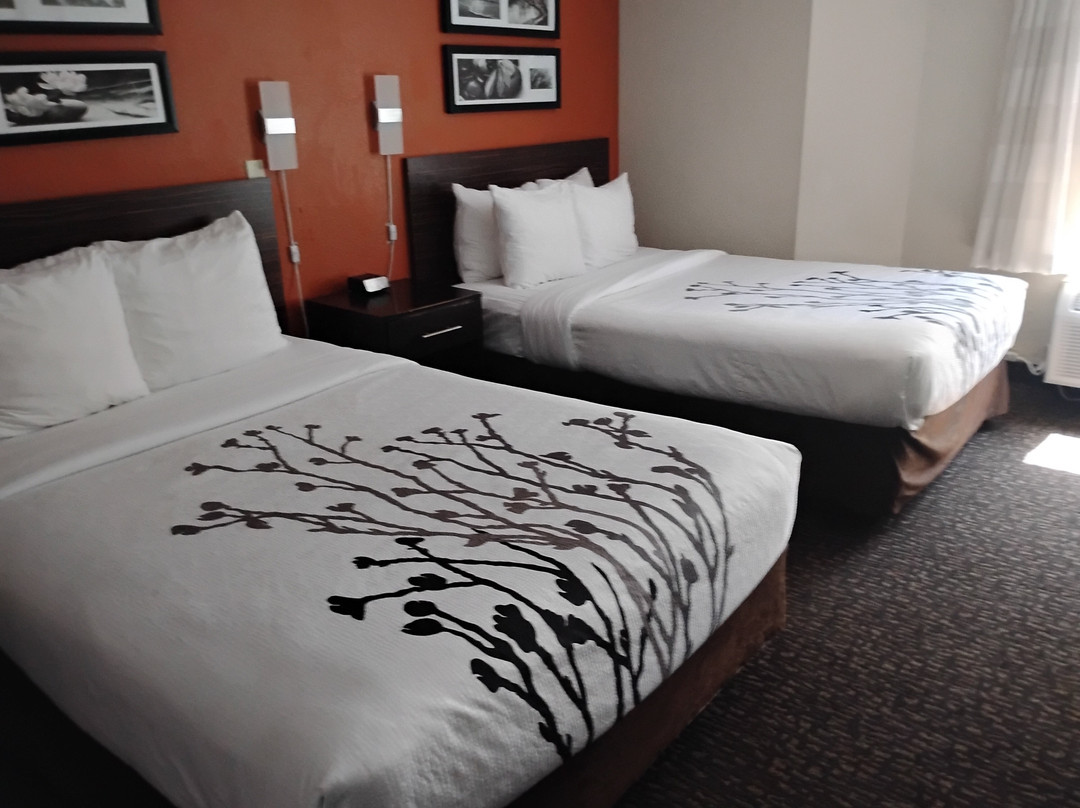 Sleep Inn Ormond Beach - Daytona主图