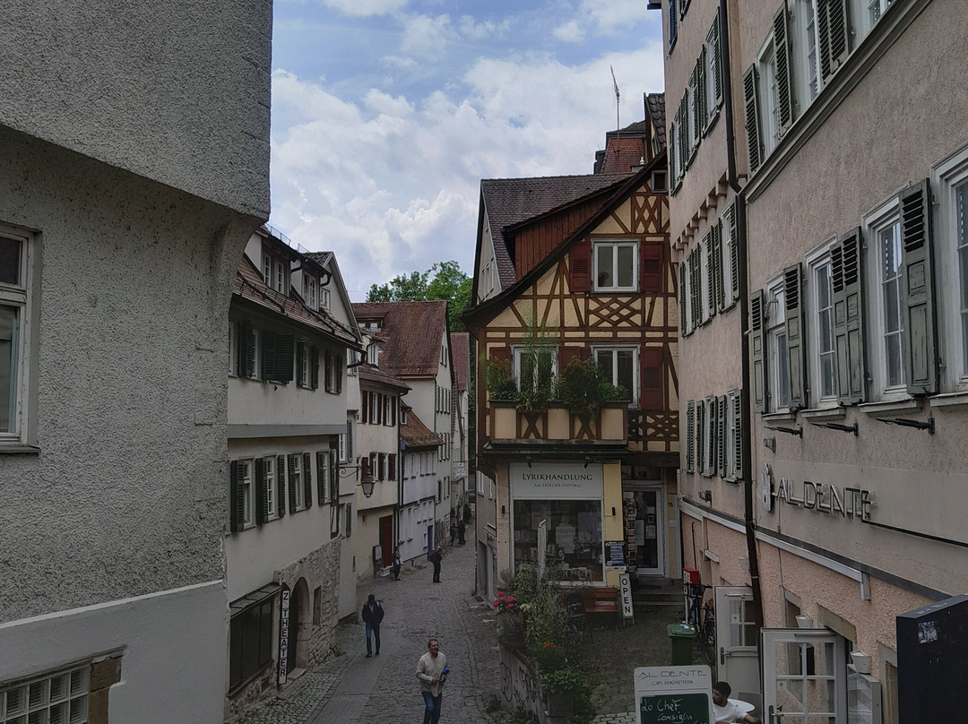 Historische Altstadt Tübingen-图宾根必去景点