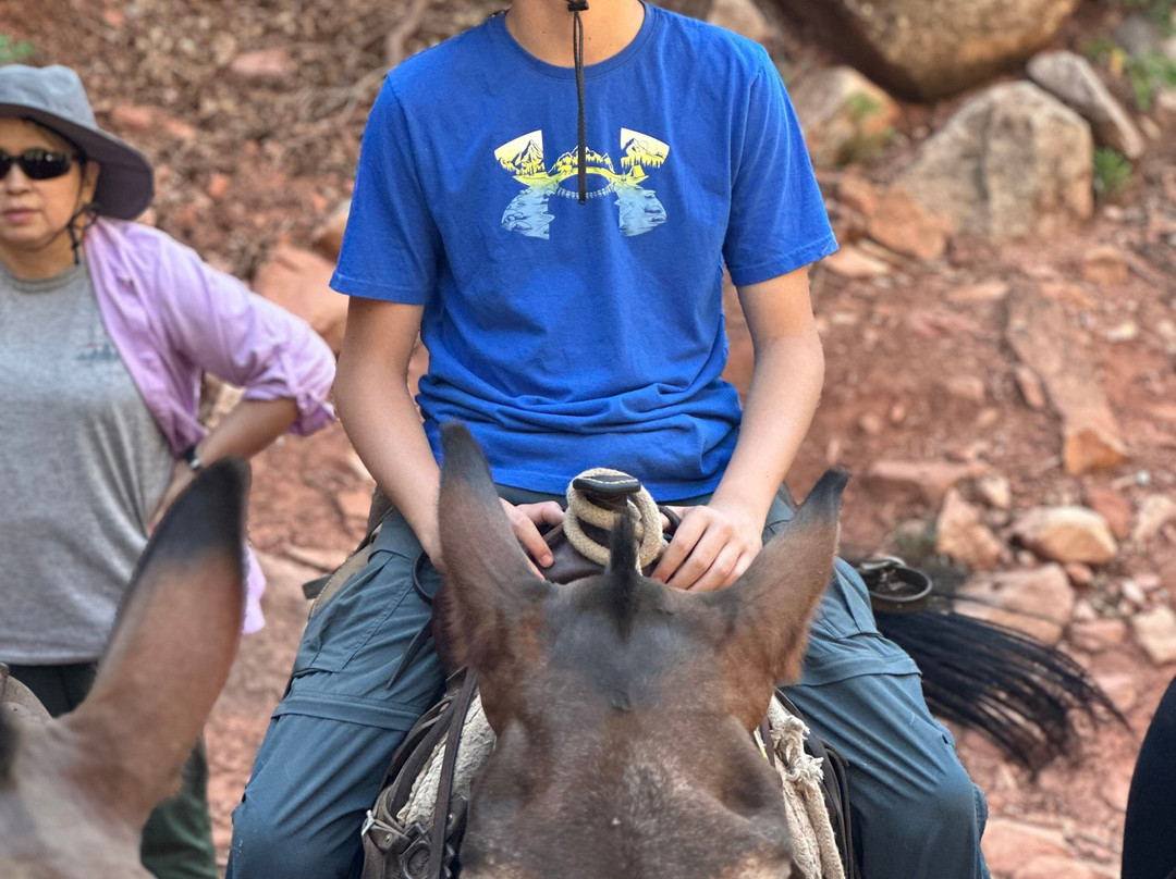 Canyon Trail Rides-大峡谷国家公园必去景点