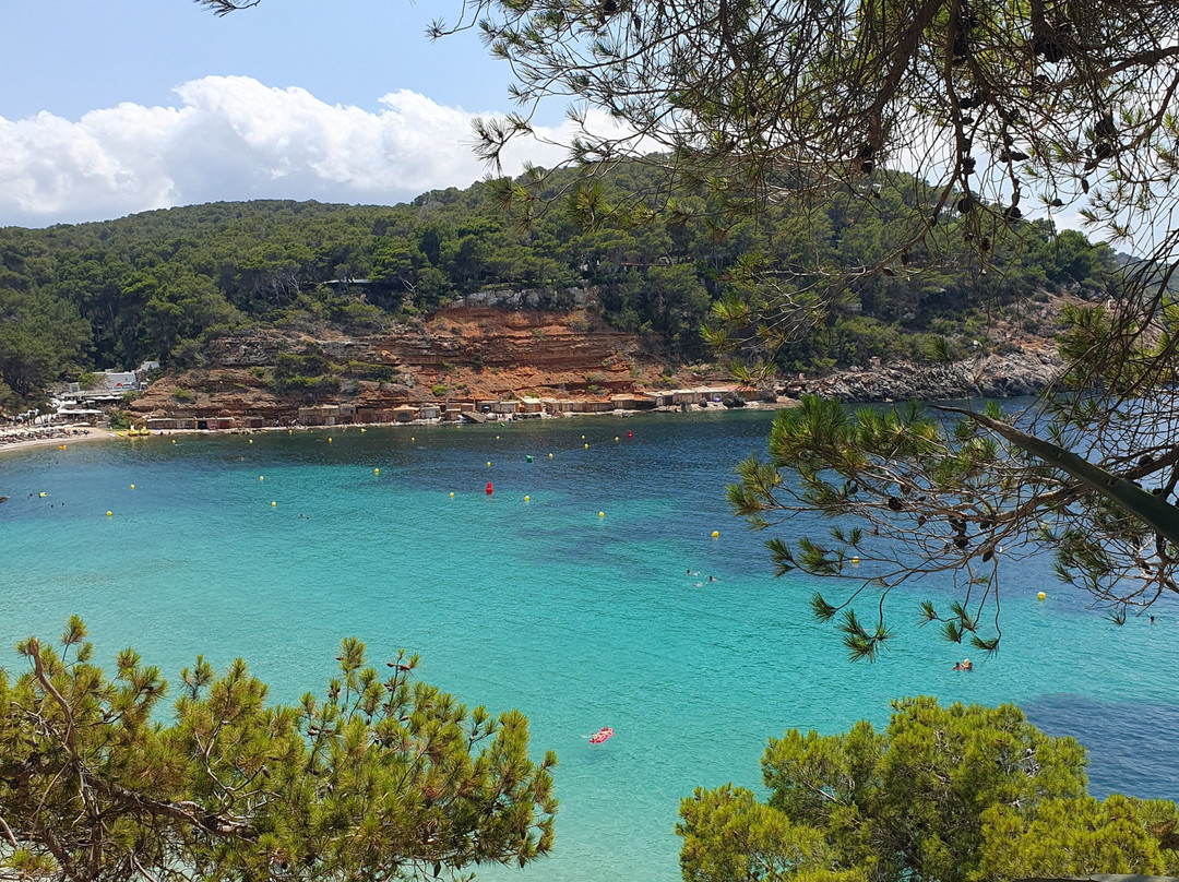 Playa Cala Salada-圣安东尼德波特曼尼必去景点