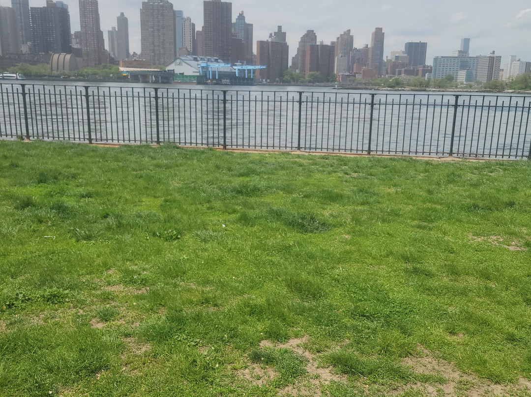 Whitey Ford Field-阿斯托里亚必去景点