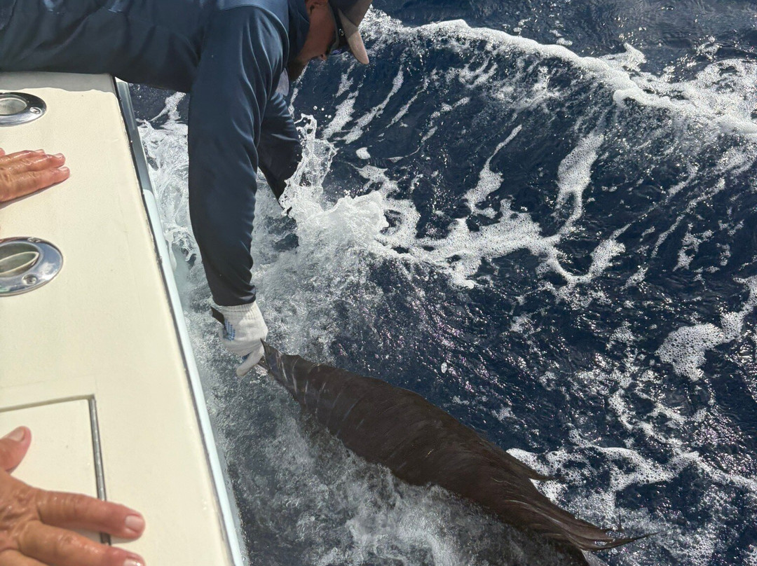 Captain Tom's Big Game Sportfishing-梦城必去景点