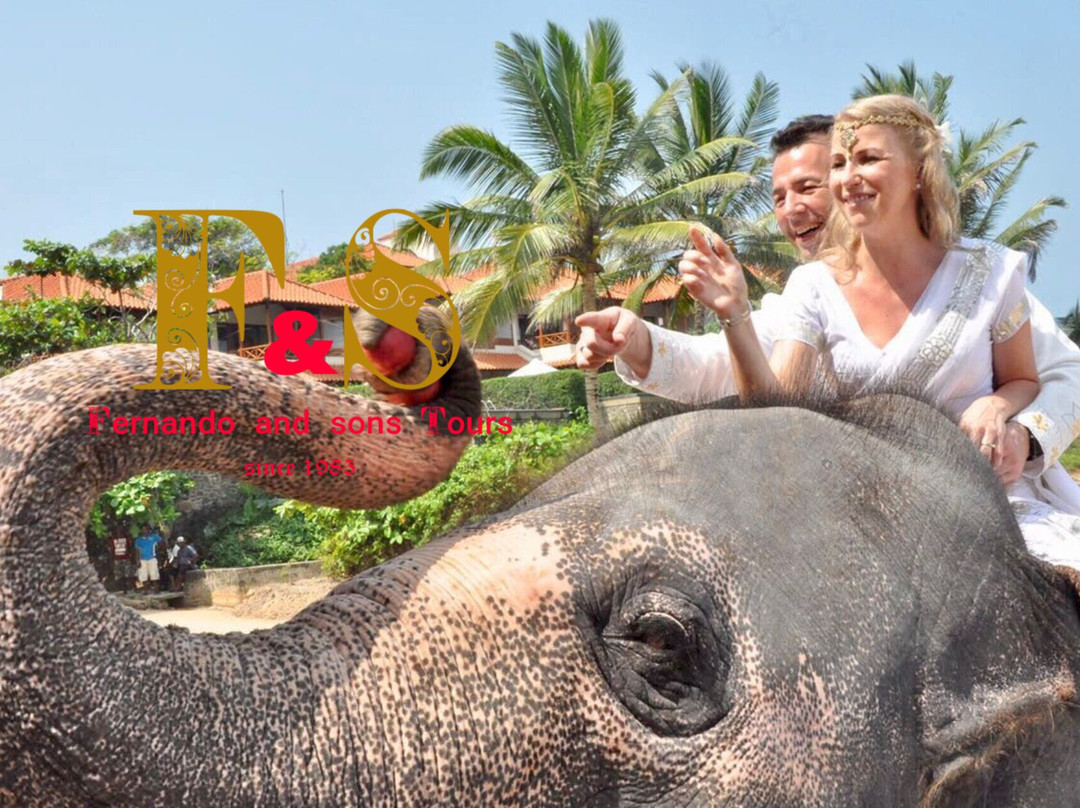 Fns Tours-Marawila必去景点