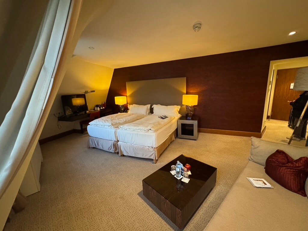 维也纳时尚丽笙酒店-客卧