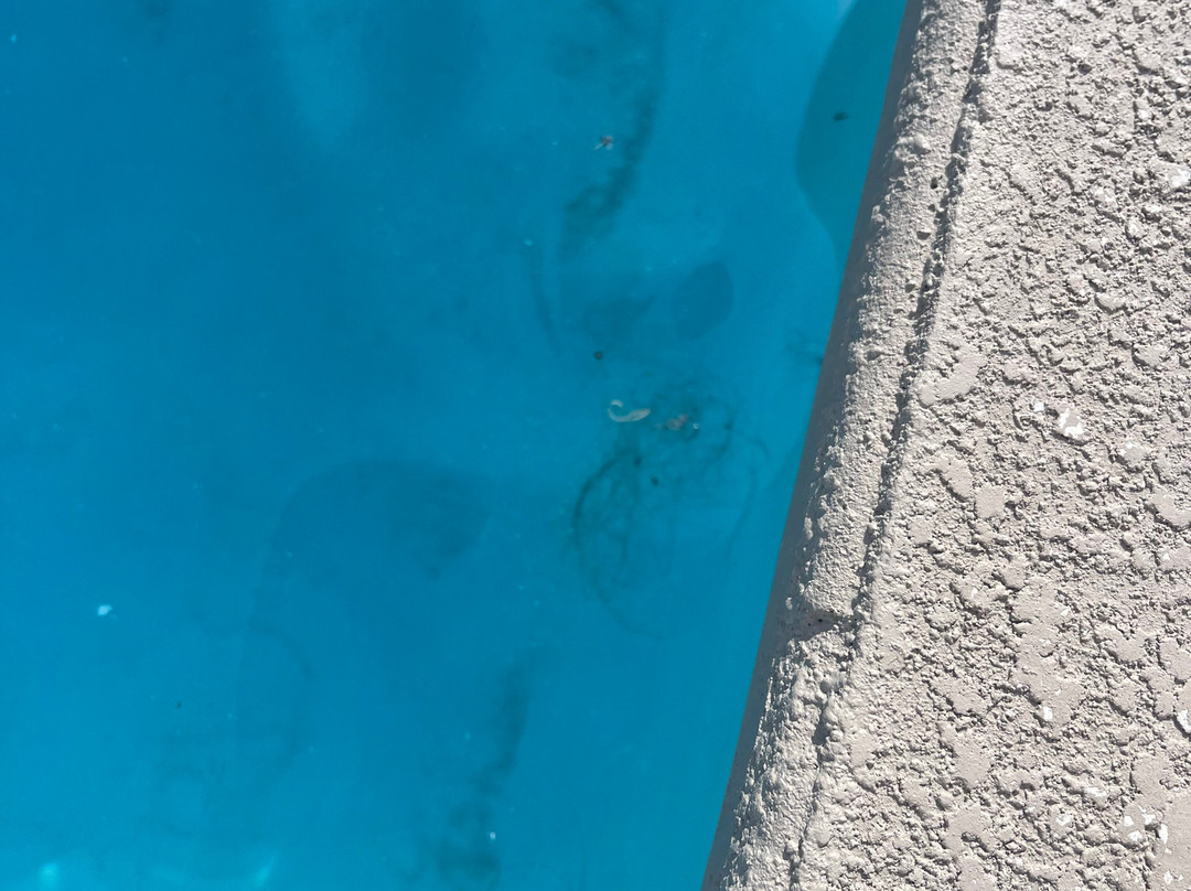 大西洋海滩希尔顿恒庭旅馆及套房酒店主图