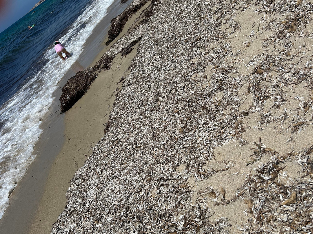 Spiaggia Li Feruli-Badesi必去景点