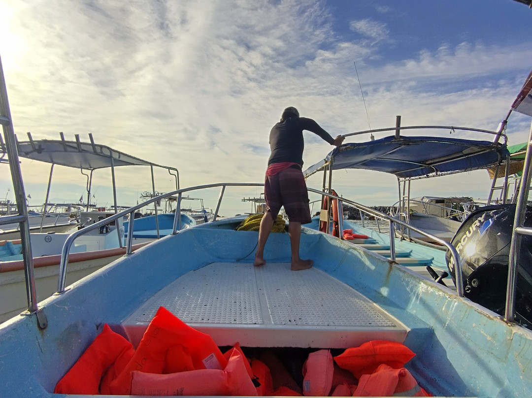 Dressel Divers Puerto Vallarta-蓬塔米塔必去景点