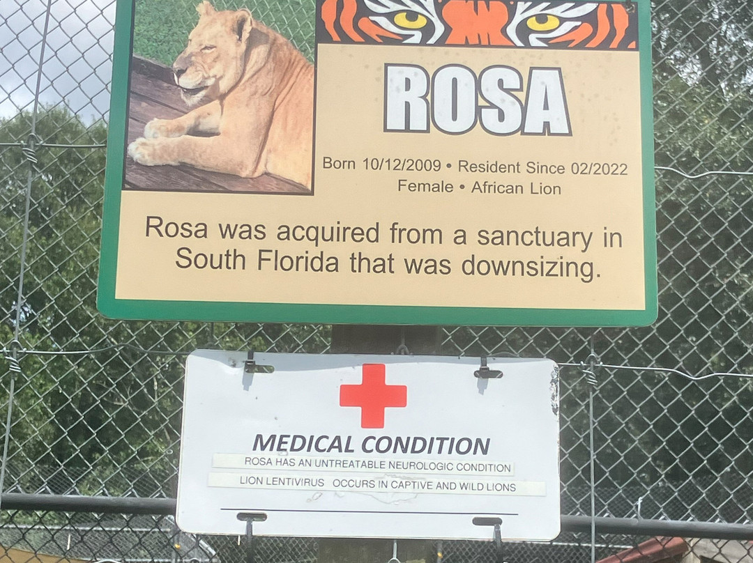 Catty Shack Ranch Wildlife Sanctuary-杰克逊维尔必去景点