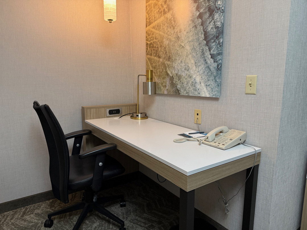 SpringHill Suites by Marriott Des Moines West主图