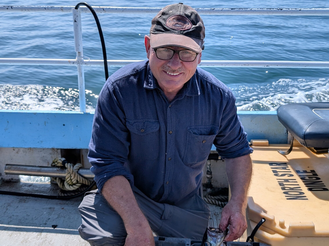 West Kerry Sea Angling and Eco Tours-丁格尔必去景点