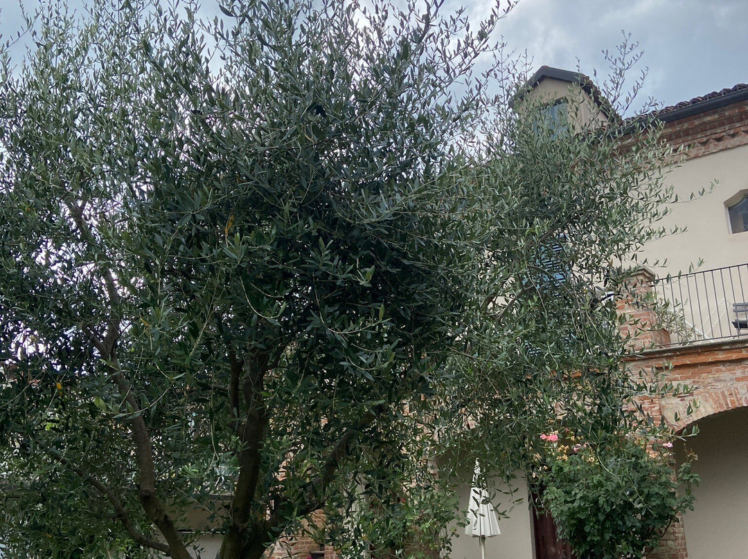 Locanda dell'Orso Bevitore主图