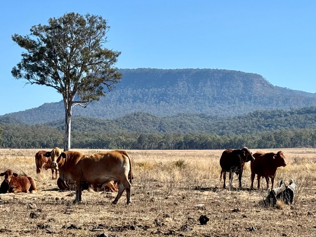 Azure Nature Tours-Carnarvon National Park必去景点