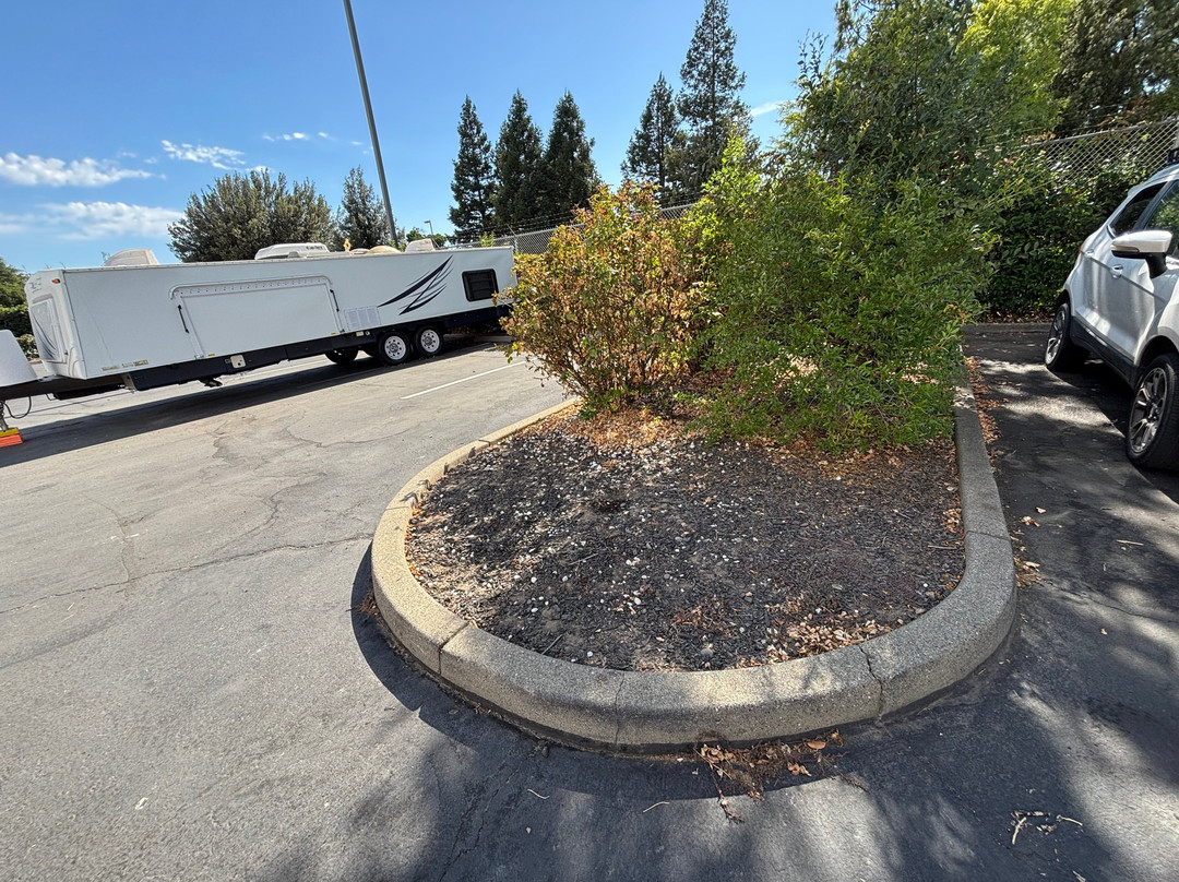 Best Western Yuba City Inn主图