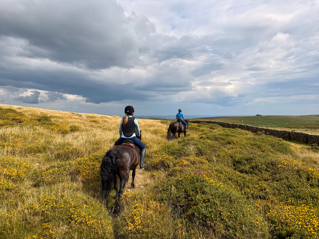 Shilstone Rocks-Widecombe in the Moor必去景点