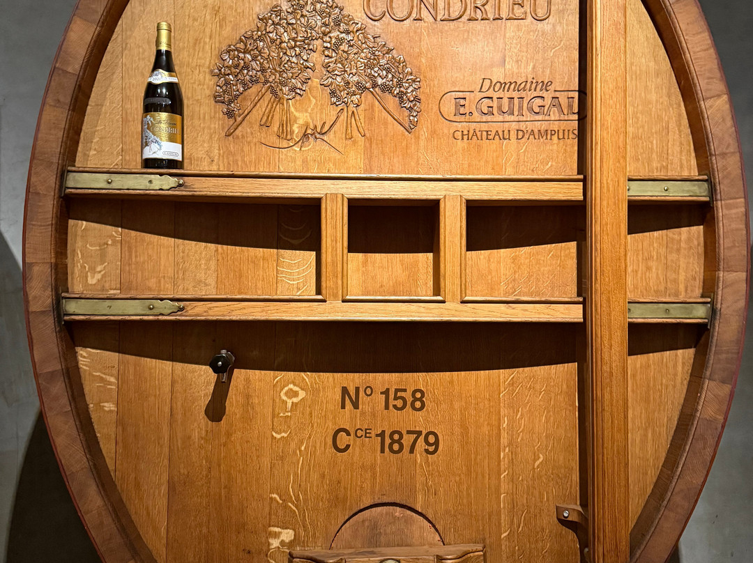 Epicurean Provence Tour (Provence, Luberon, Alpilles)-圣雷米必去景点