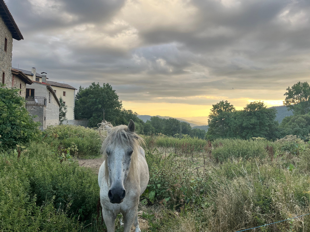 El Pont de Bar酒店住宿-Fonda Ca l'Abel