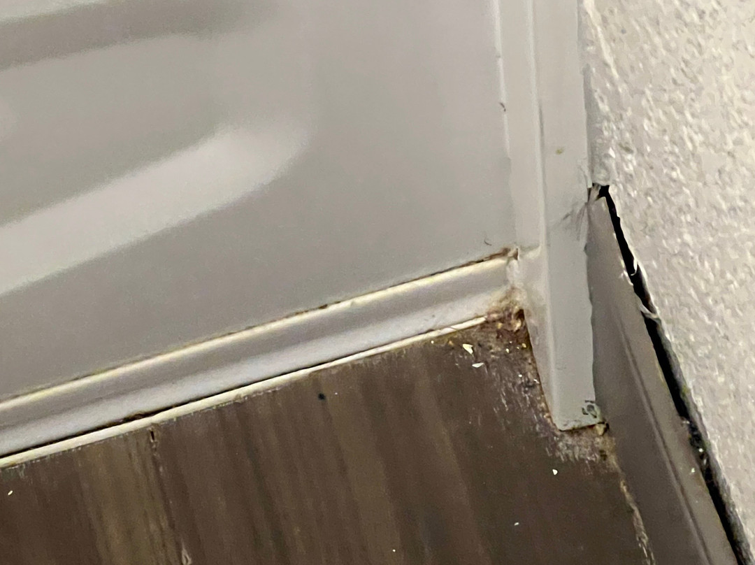 La Quinta Inn & Suites by Wyndham Lubbock West Medical Centr主图