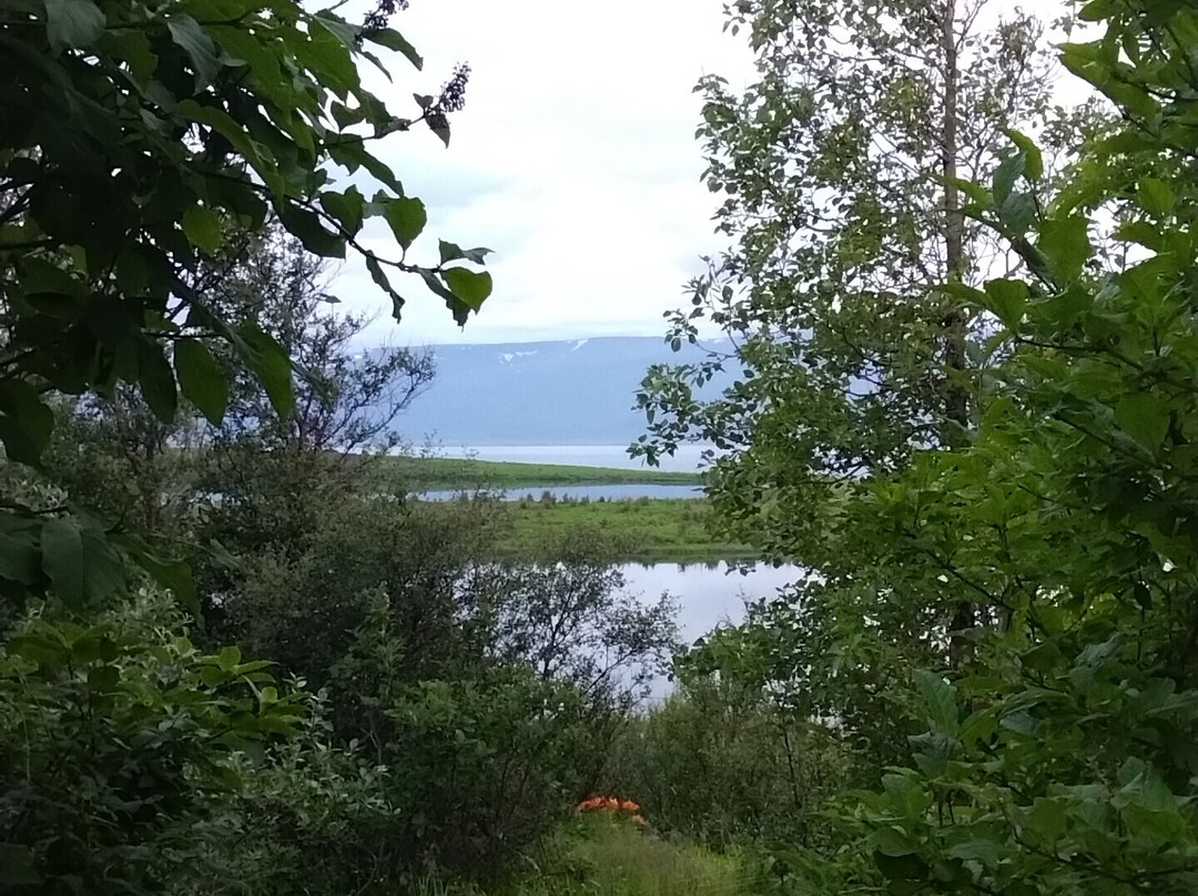 Kaldbaks-kot Cottages主图