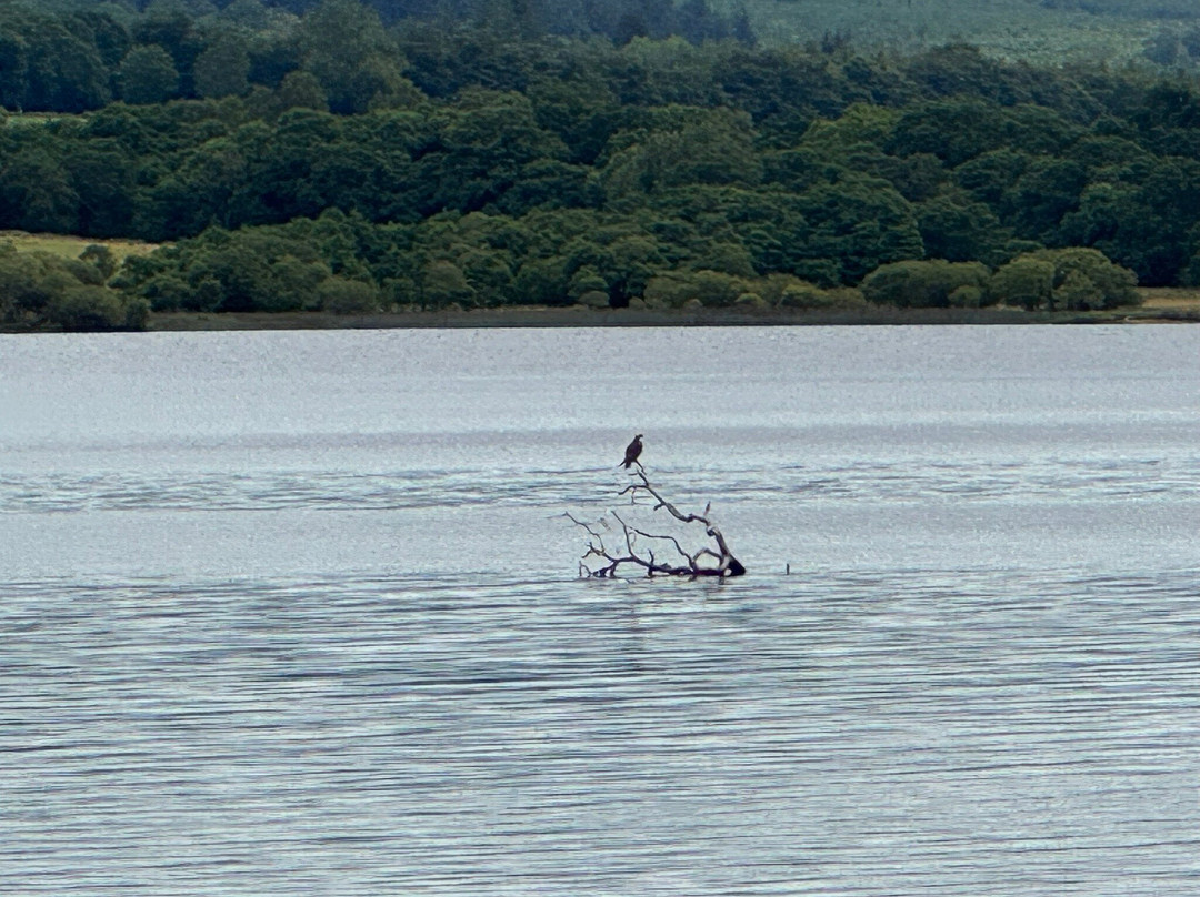 Cruise Loch Lomond-Balmaha必去景点