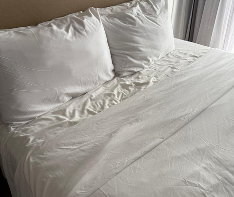 Divi Flamingo Beach Resort & Casino主图