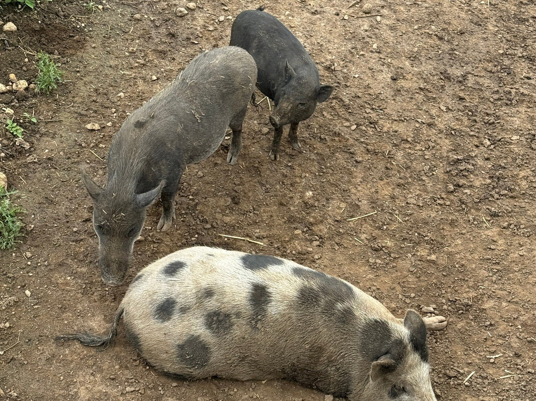 Domaine de Bel-Air-Le Landeron必去景点