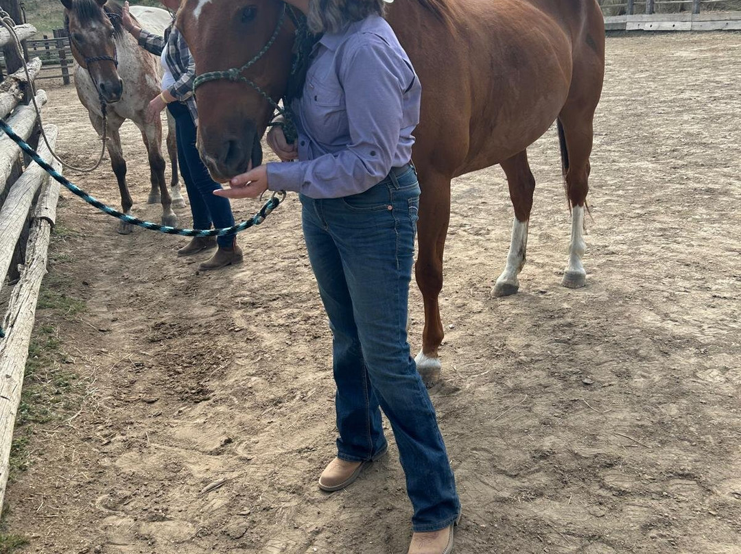 Lonesome Spur-Bridger必去景点