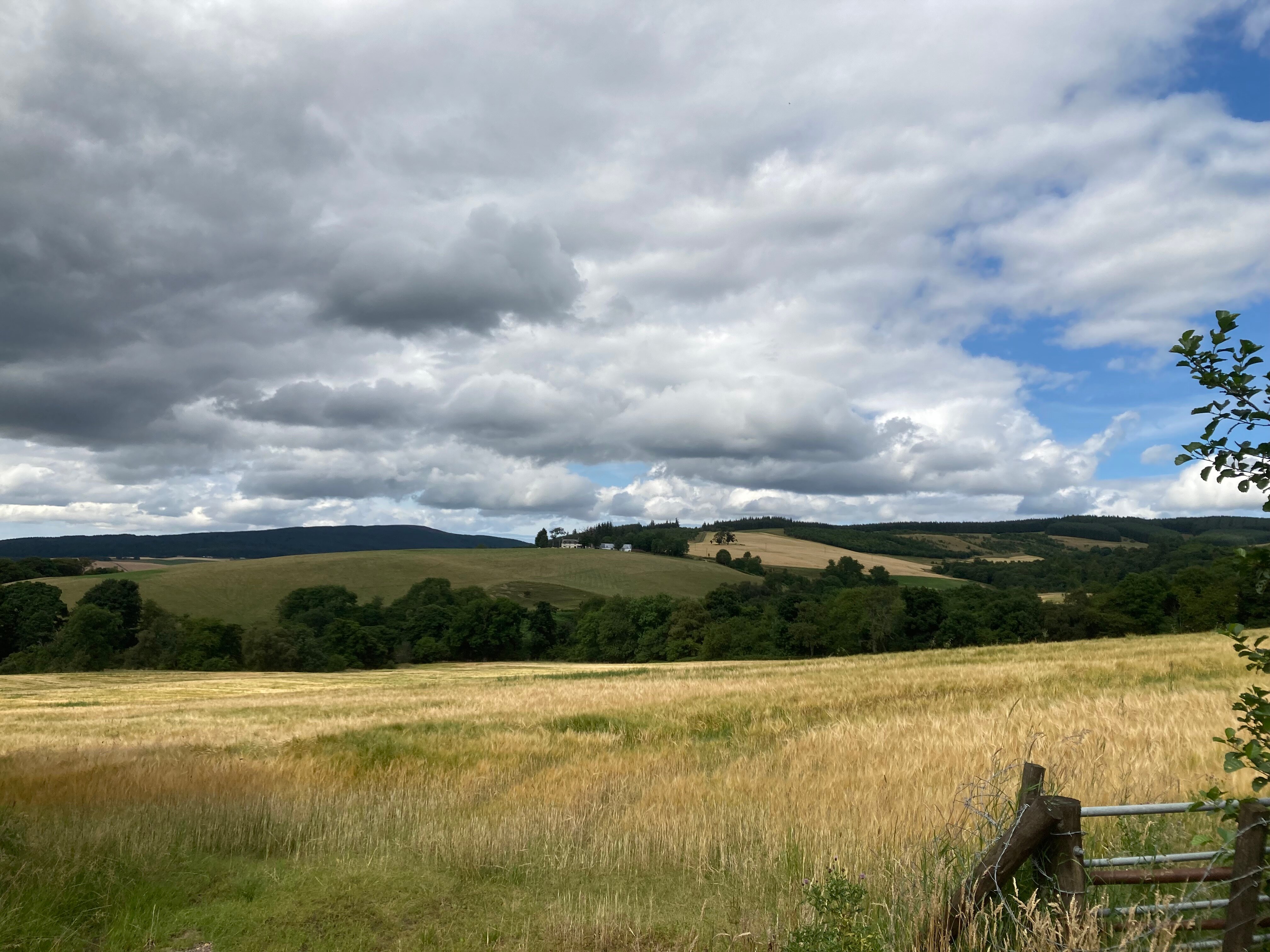 Broomhead Cottages-官方