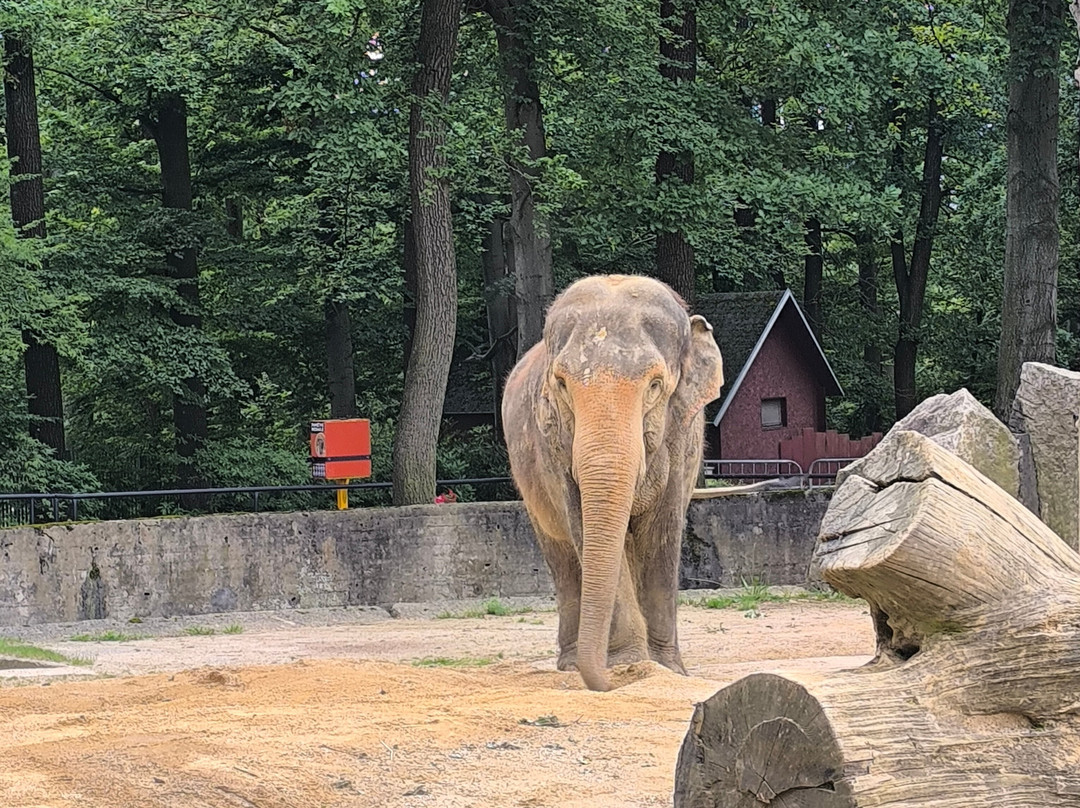 Zoo Liberec-利贝雷茨必去景点