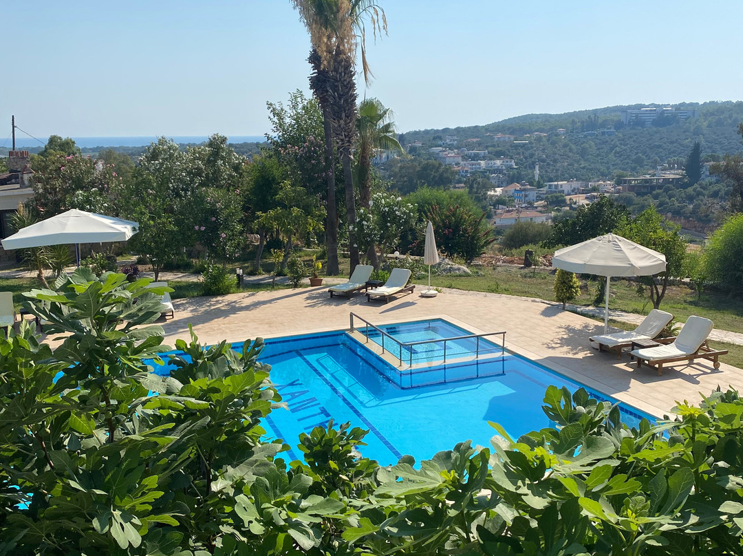 Xanthos Boutique Hotel主图