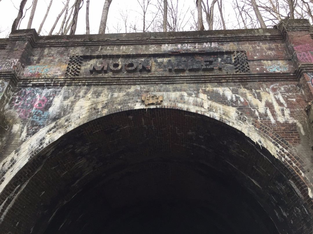 Moonville Tunnel-Vinton必去景点