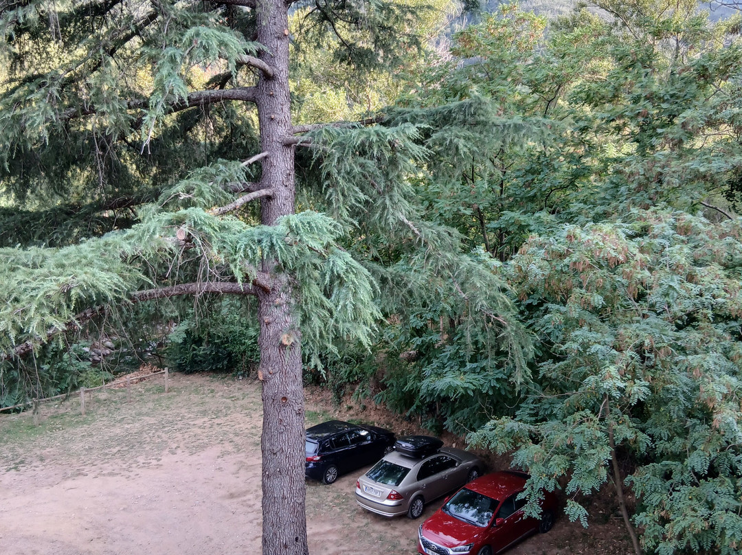 Appart Hôtel Castel Emeraude主图