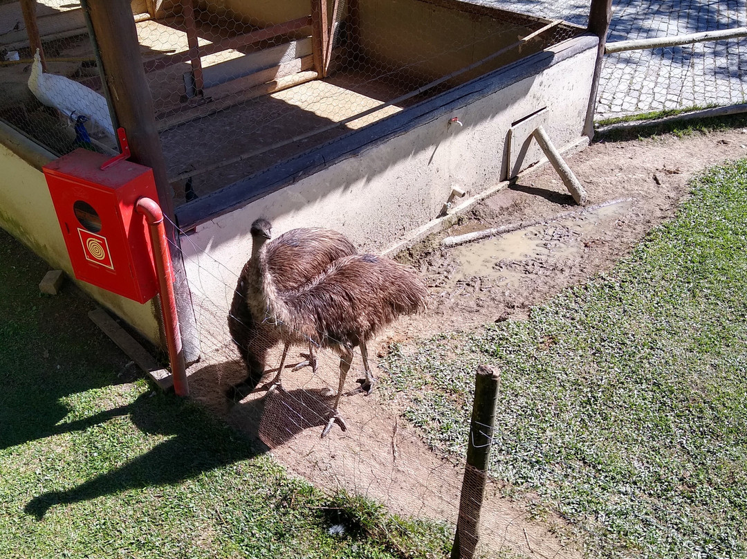 Hotel Fazenda Suica Le Canton主图