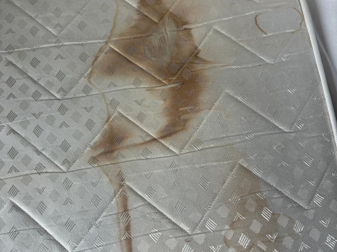 Sporthotel und Tagungshotel