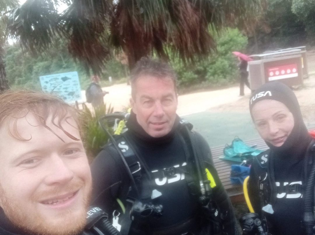 Dive Centre Manly-曼利议会必去景点