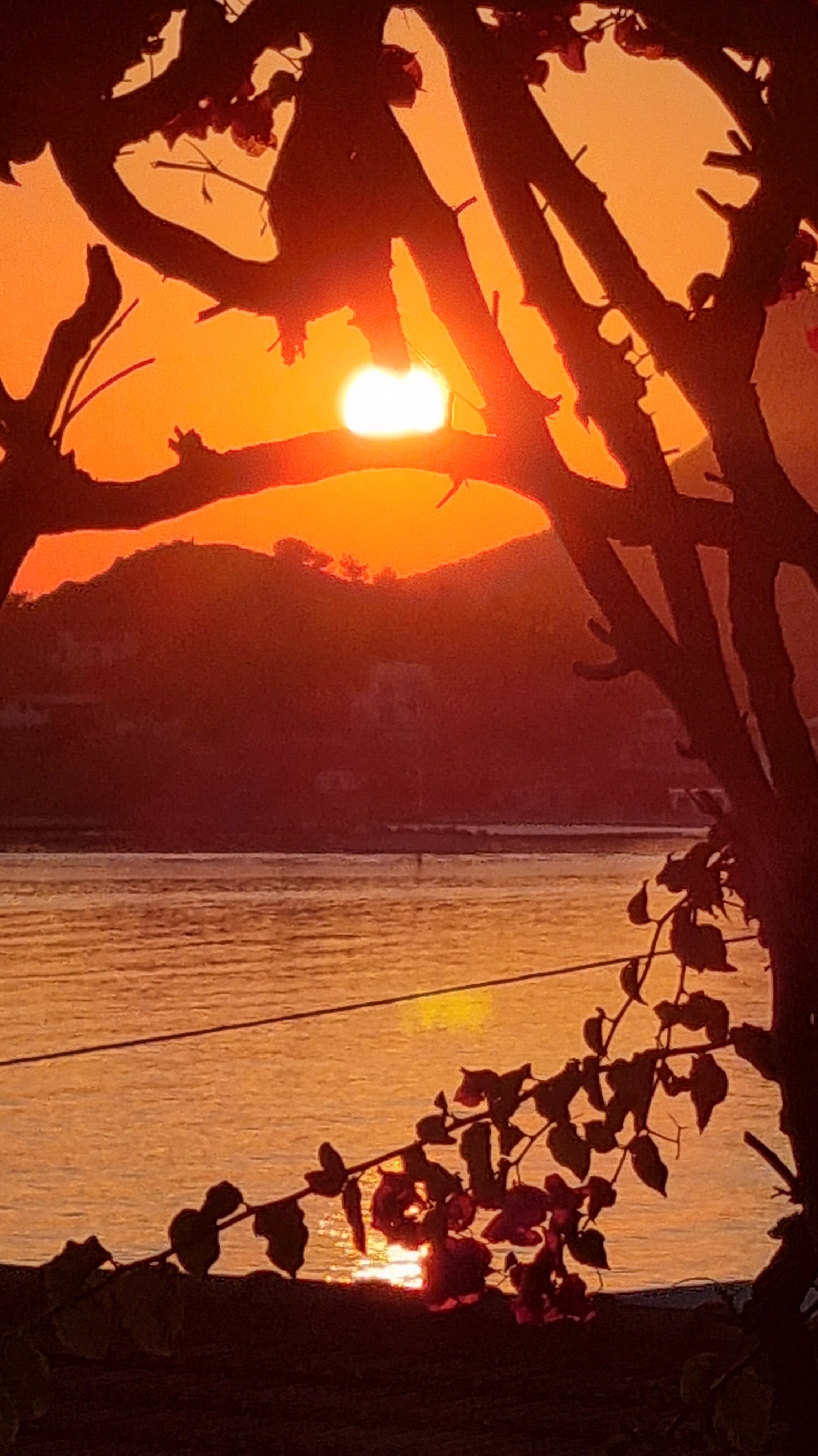 Atlantis Hotel & Studios-酒店景观