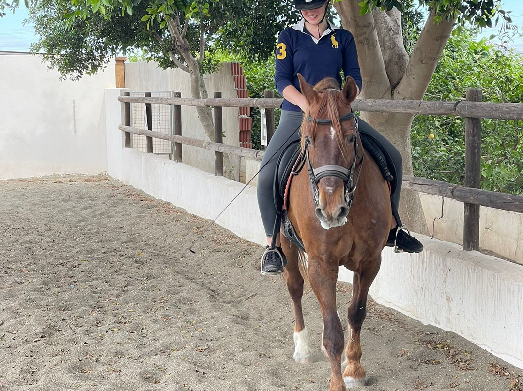 Hipica Gilillo-San Miguel de Salinas必去景点