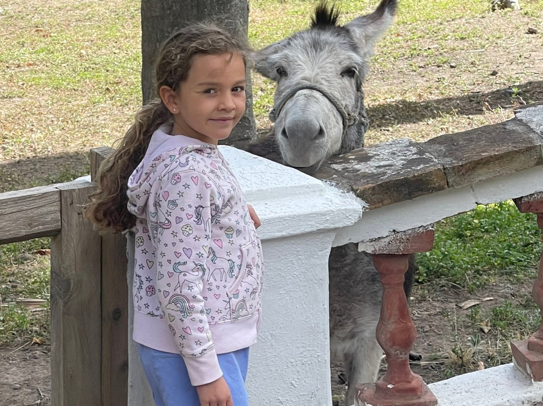 Hacienda Piman主图