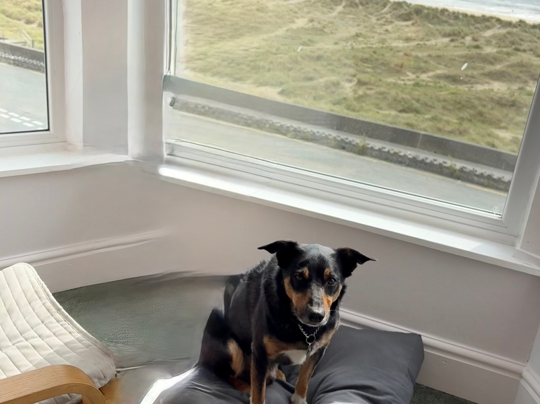 Mor Wyn Guest House主图