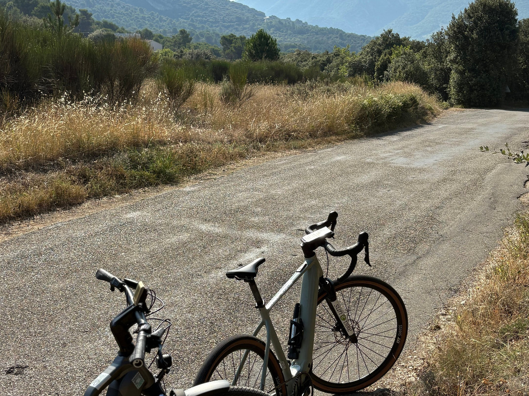Sun-E-Bike-韦松拉罗迈纳必去景点