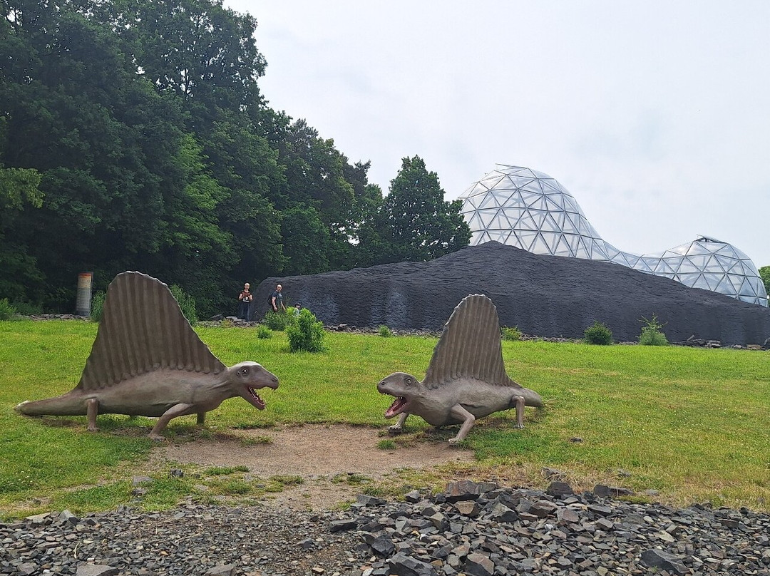 Saurier Park-Bautzen必去景点