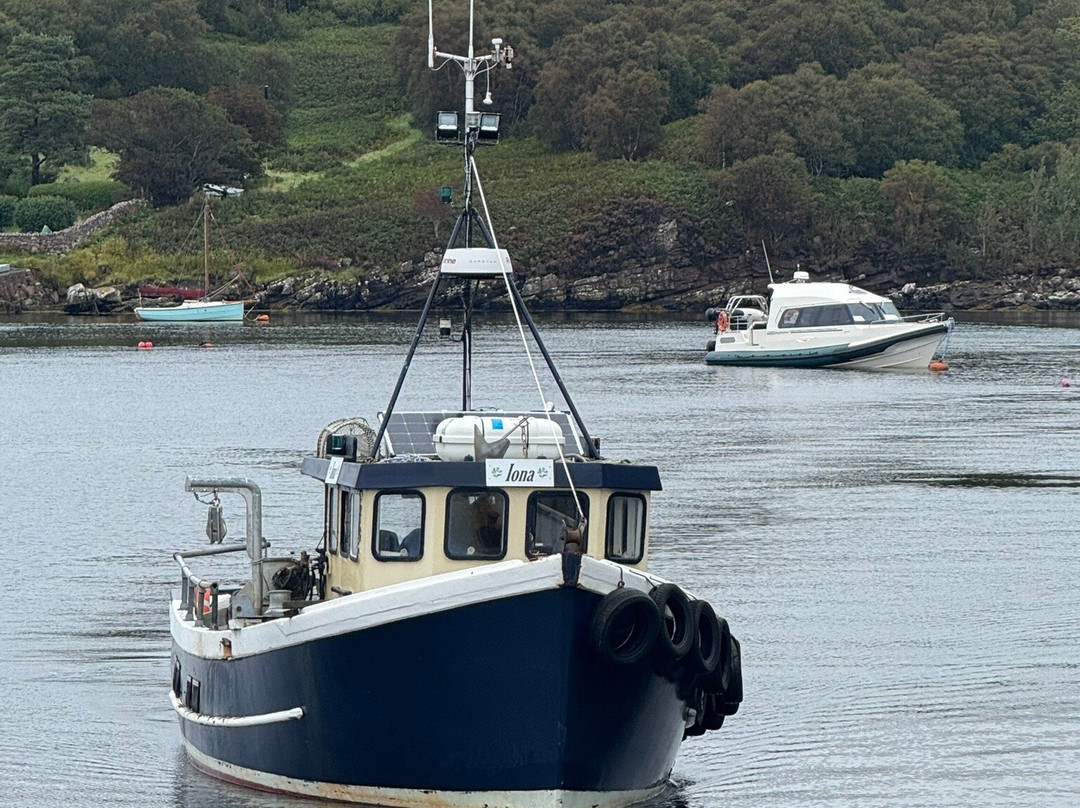 Shellfish Safaris-Badachro必去景点