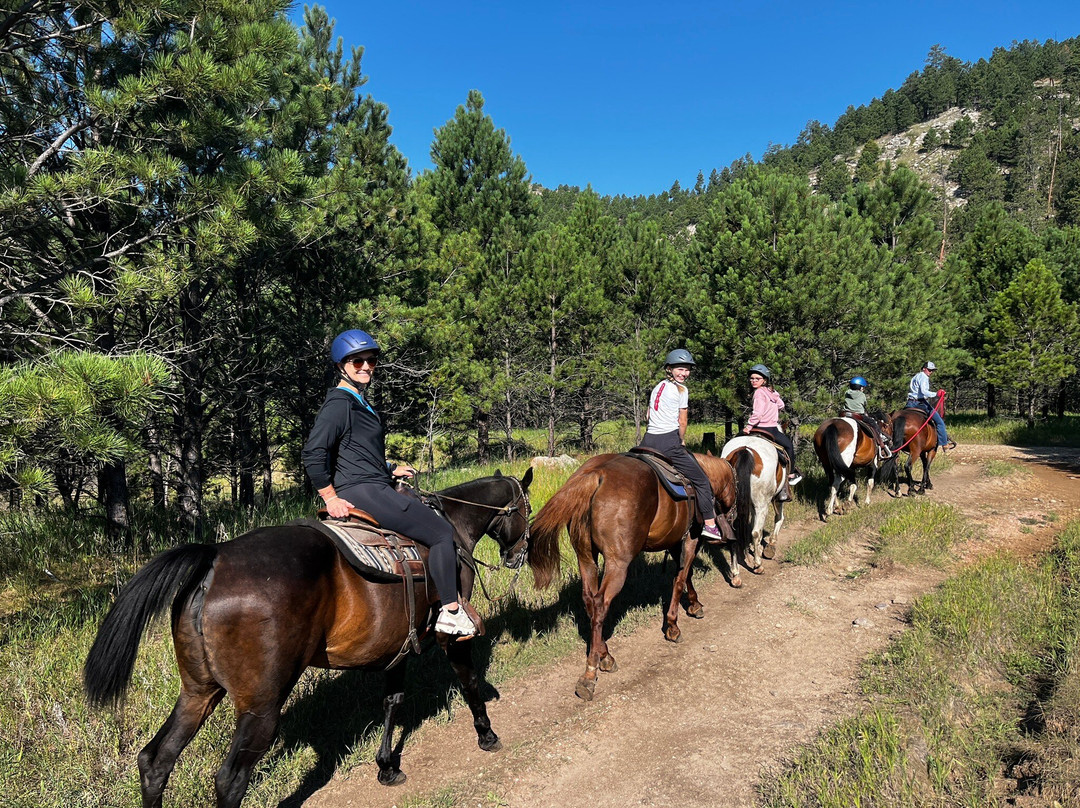 Blue Bell Stables-卡斯特必去景点
