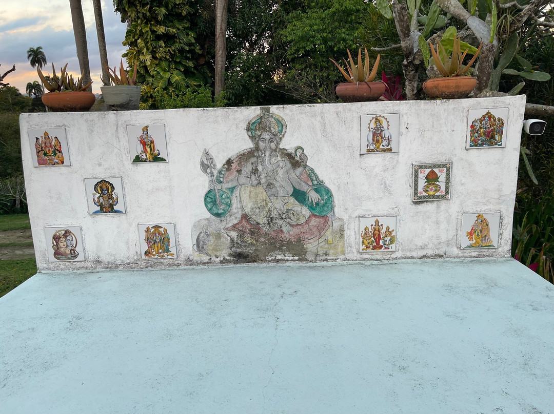 Bloomoon House