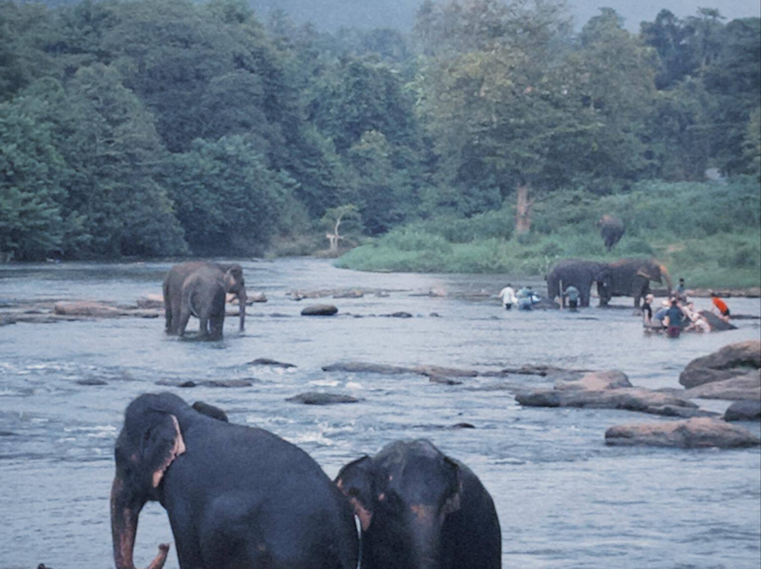 Omaari Lanka Tours-Dankotuwa必去景点