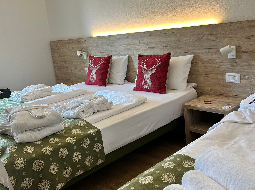 Hotel Kronplatzer Hof主图