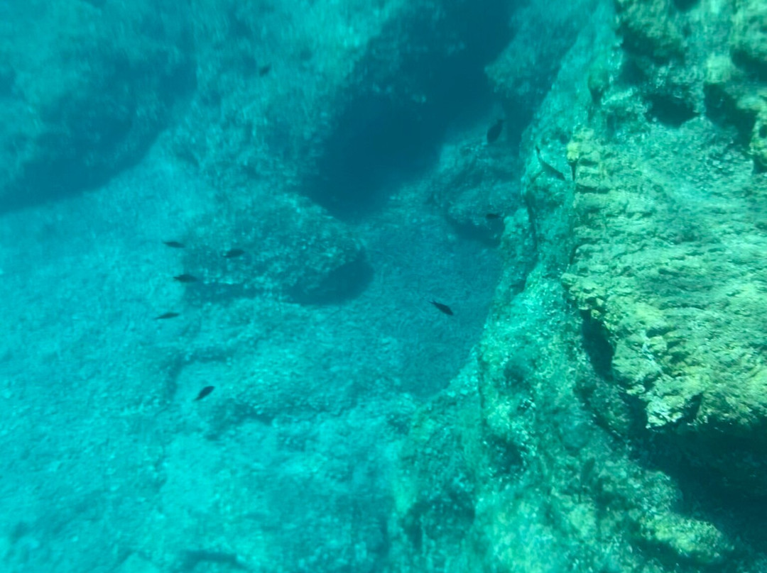 Ionion Gateway Cruise-塞沃塔必去景点