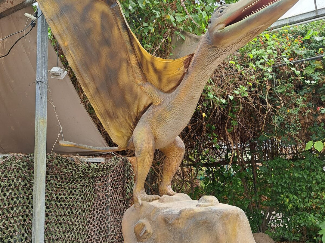 Dinosarium-Torreilles必去景点