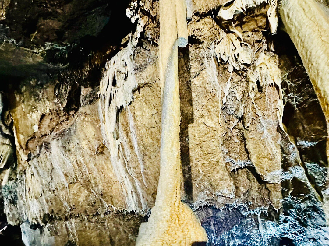 Mitchelstown Cave-Burncourt必去景点